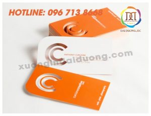 in-card-visit-lay-ngay
