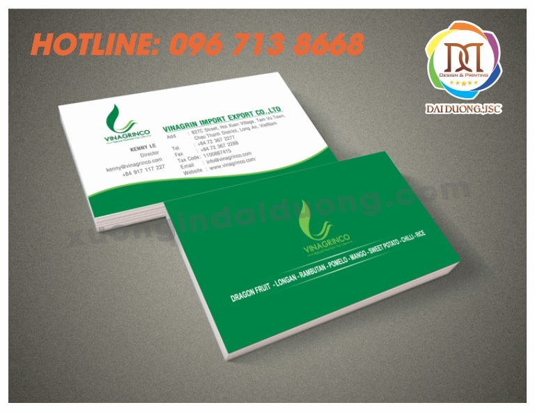 in-card-visit-gia-re