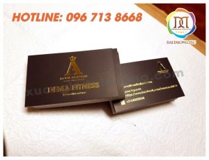 in-card-visit-gia-re
